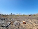 20250627_120358.jpg