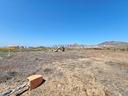 20250627_120402.jpg