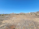 20250627_121126.jpg