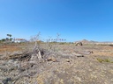 20250627_121647.jpg