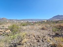 20250627_120652.jpg
