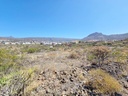 20250627_120654.jpg